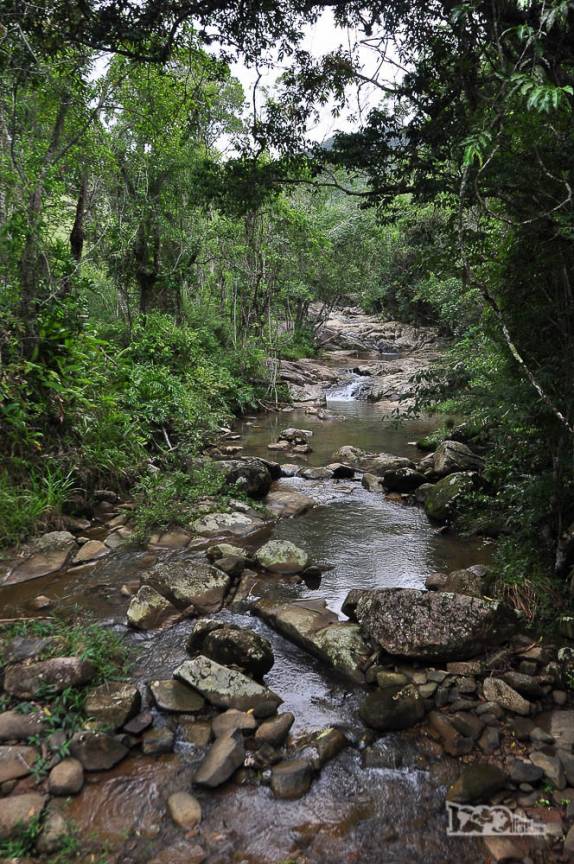 Trilha para a cachoeira do Siriú, em Garopaba, no litoral sul de Santa Catarina